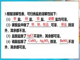 人教版（2024）九年级化学下册-10.3 常见的盐 第2课时（课件+素材）