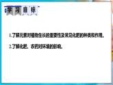 人教版（2024）九年级化学下册-10.3 常见的盐 第3课时（课件+素材）