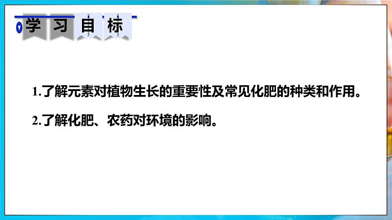 人教版（2024）九年级化学下册-10.3 常见的盐 第3课时（课件+素材）02