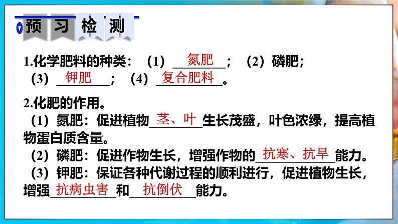 人教版（2024）九年级化学下册-10.3 常见的盐 第3课时（课件+素材）03