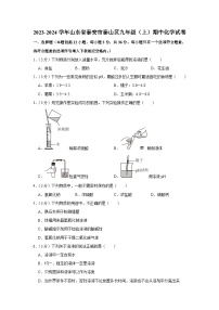 2023-2024学年山东省泰安市泰山区九年级（上）期中化学试卷