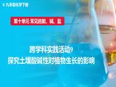 人教版（2024）九年级化学下册-跨学科实践活动9 探究土壤酸碱性对植物生长的影响（课件+素材）