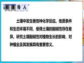 人教版（2024）九年级化学下册-跨学科实践活动9 探究土壤酸碱性对植物生长的影响（课件+素材）