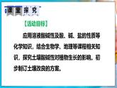 人教版（2024）九年级化学下册-跨学科实践活动9 探究土壤酸碱性对植物生长的影响（课件+素材）