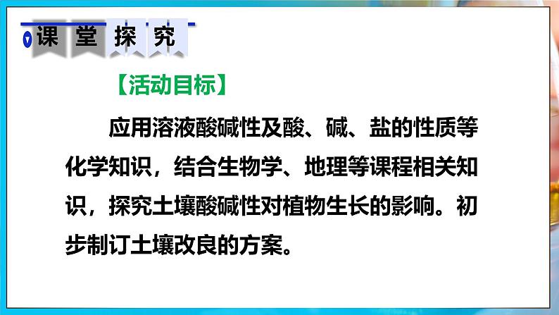 跨学科实践活动9 探究土壤酸碱性对植物生长的影响第3页