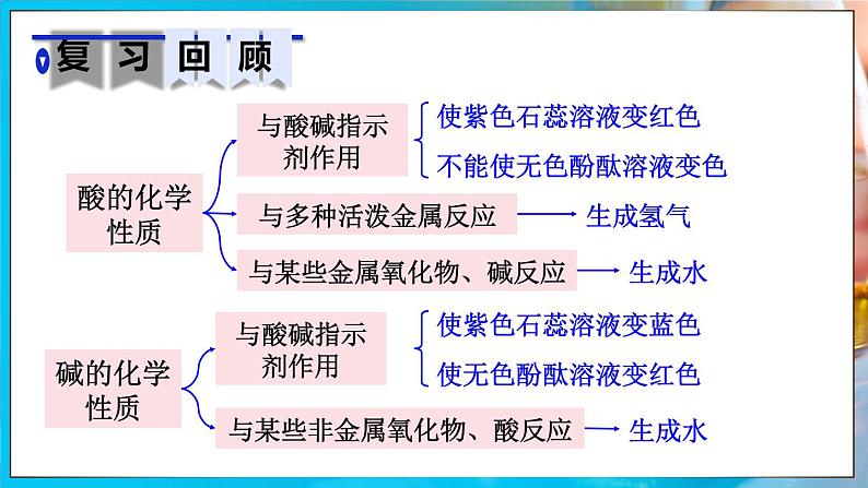 实验活动8 常见酸、碱的化学性质第5页