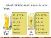【新教材新课标】人教版九年级下册化学9.3.1  溶质的质量分数课件