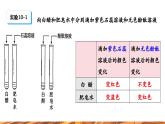 【新教材新课标】人教版九年级下册化学10.1 溶液的酸碱性课件(内嵌视频)