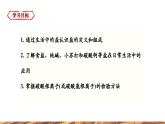 【新教材新课标】人教版九年级下册化学10.3.1  几种常见的盐 课件(内嵌视频)