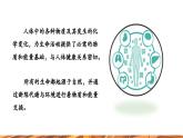 【新教材新课标】人教版九年级下册化学11.1 化学与人体健康 课件(内嵌视频)