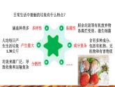 【新教材新课标】人教版九年级下册化学跨学科实践活动7  垃圾的分类与回收利用课件(内嵌视频)