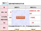 【新教材新课标】人教版九年级下册化学10.2.1 常见酸的性质及用途课件(内嵌视频)