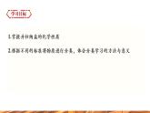 【新教材新课标】人教版九年级下册化学10.3.3 盐的化学性质 课件