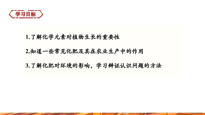 【新教材新课标】人教版九年级下册化学10.3.4 化学肥料 课件第2页