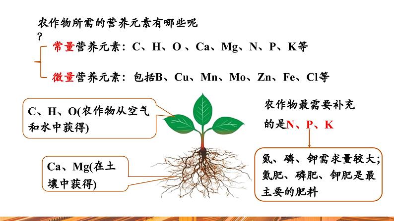 【新教材新课标】人教版九年级下册化学10.3.4 化学肥料 课件第6页