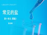 人教版（2024）九年级下册化学--10.3 常见的盐（课件+素材）