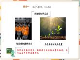 【大单元整体教学】沪教版（全国）化学九年级上册 4.1化学反应发生的条件 课件+教学设计