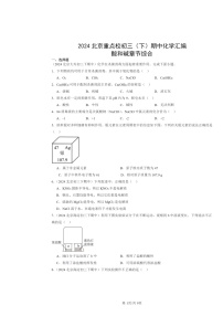 2024北京重点校初三下学期期中化学真题分类汇编：酸和碱章节综合