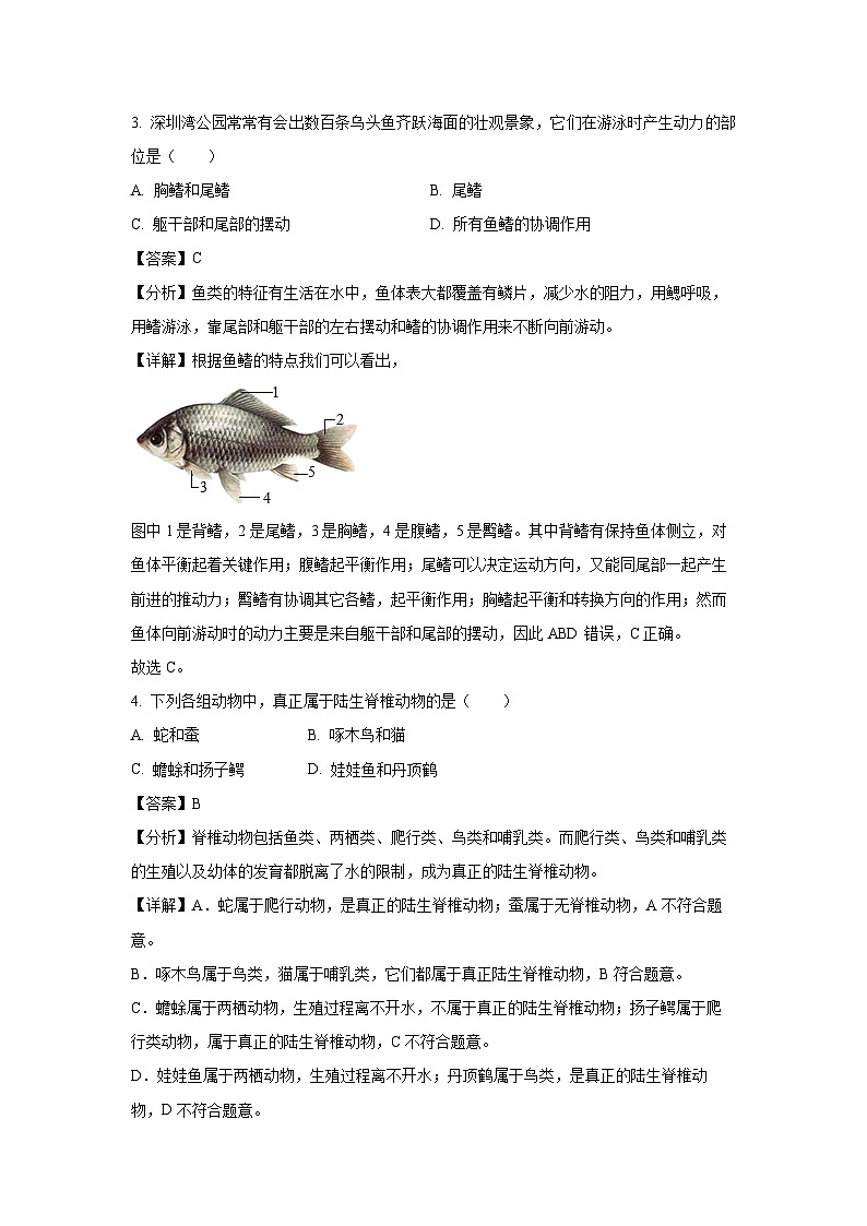山西省临汾市翼城县多校2024-2025学年八年级上学期9月月考化学解析试题（解析版）02