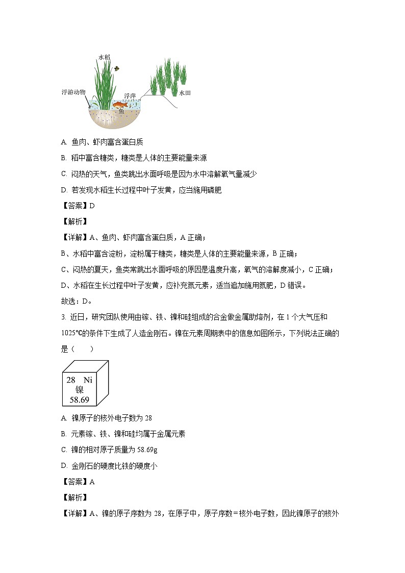 安徽省滁州市天长市2024年中考模拟预测试题化学试卷（解析版）第2页