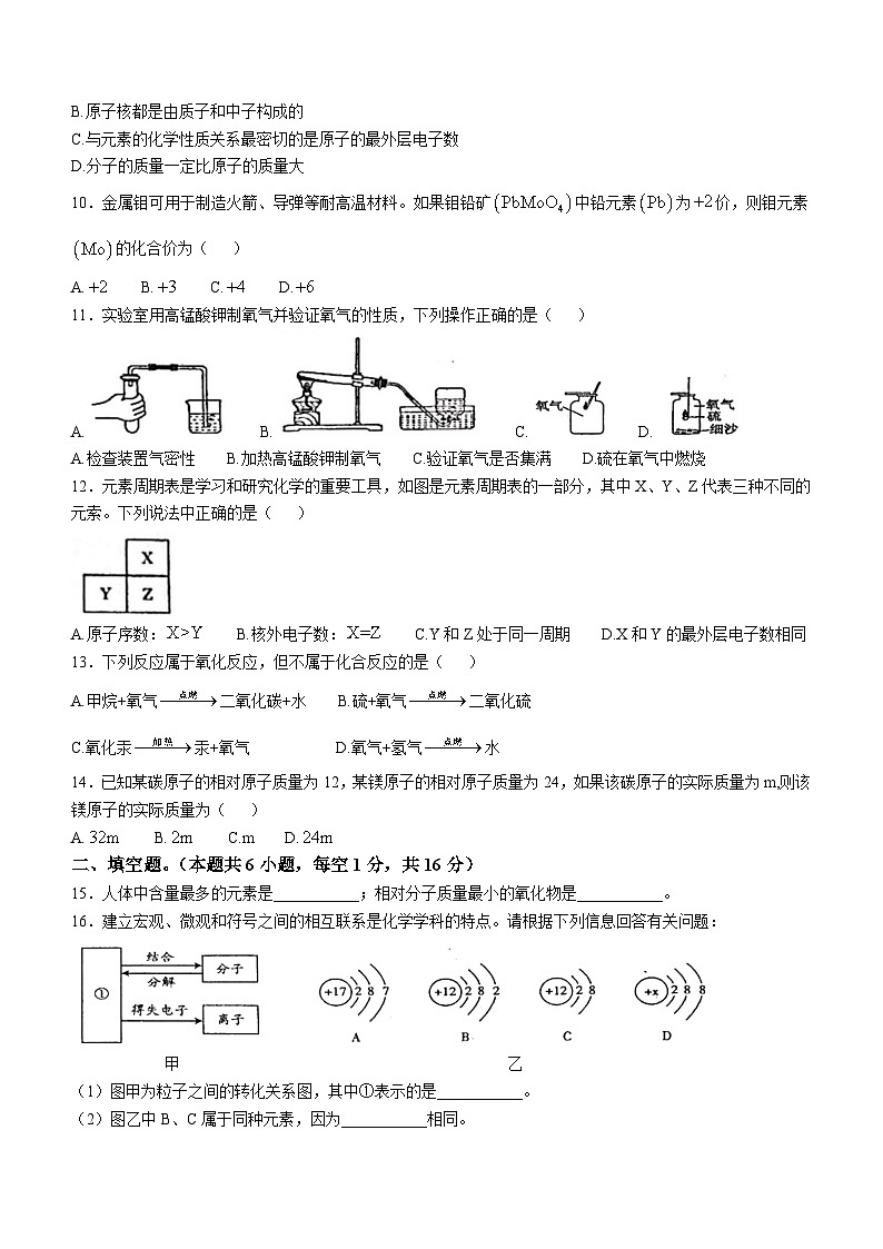 河南省周口市郸城县2024-2025学年九年级上学期10月月考（二）化学试卷02