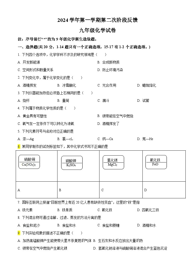 上海市杨思中学2024-2025学年九年级上学期期中化学试卷01