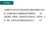 8.3 金属资源的利用和保护-课件---2024-2025学年九年级化学人教版(2024)下册