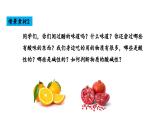10.1 溶液的酸碱性-课件---2024-2025学年九年级化学人教版(2024)下册