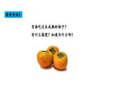 10.2 常见的酸和碱 第2课时 常见的碱-课件---2024-2025学年九年级化学人教版(2024)下册
