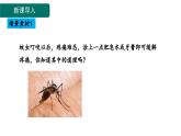 10.2 常见的酸和碱 第3课时 中和反应-课件---2024-2025学年九年级化学人教版(2024)下册