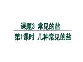 10.3 常见的盐 第1课时 几种常见的盐-课件---2024-2025学年九年级化学人教版(2024)下册