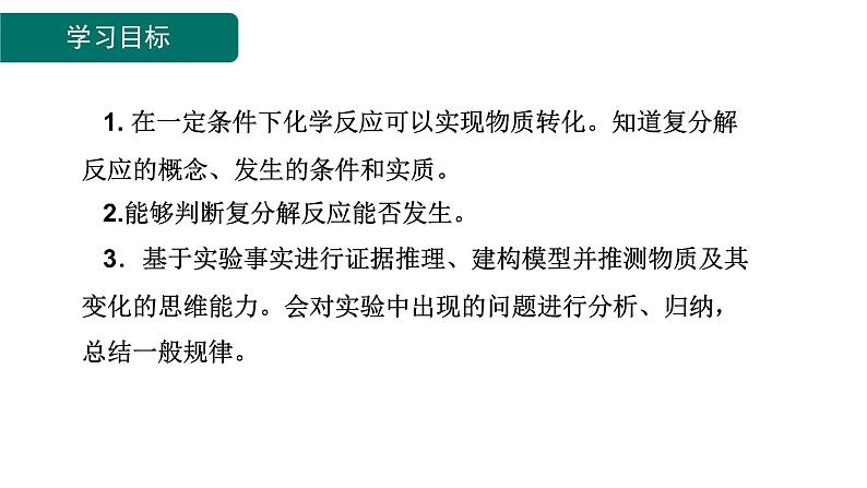 10.3 常见的盐 第2课时 复分解反应-课件---2024-2025学年九年级化学人教版(2024)下册02