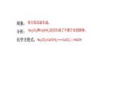 10.3 常见的盐 第2课时 复分解反应-课件---2024-2025学年九年级化学人教版(2024)下册