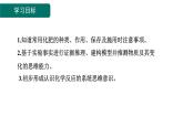 10.3 常见的盐 第3课时 化肥-课件---2024-2025学年九年级化学人教版(2024)下册