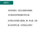 10.3 常见的盐 第3课时 化肥-课件---2024-2025学年九年级化学人教版(2024)下册