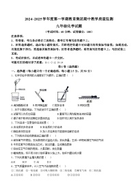 山东省滨州市博兴县2024--2025学年九年级上学期11月期中考试化学试题