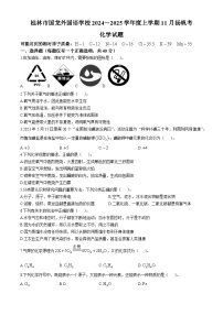 广西桂林市国龙外国语学校2024-2025学年九年级上学期期中考试化学试题