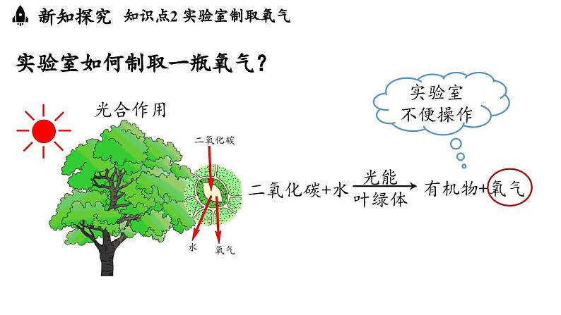 2.3 制取氧气（第一课时）课件-2024-2025学年九年级化学人教版上册07