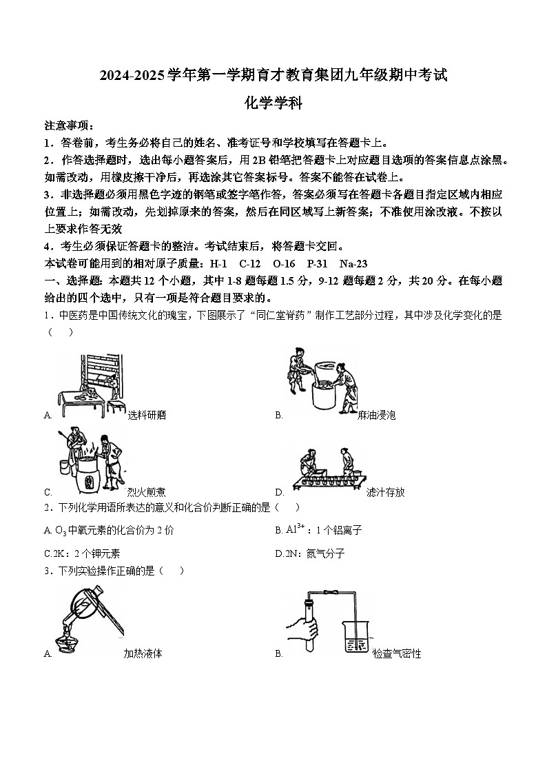 广东省深圳市南山区育才集团2024-2025学年九年级上学期期中考试化学试卷(无答案)第1页