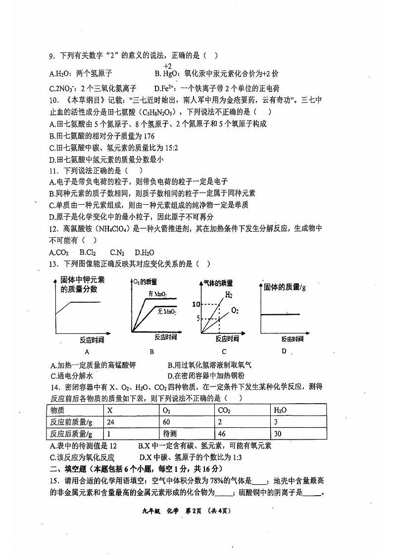 河南省实验中学2024-2025学年九年级上学期期中化学试卷(无答案PDF)第2页