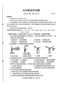 山东省潍坊市诸城市2024--2025学年九年级上学期11月期中考试化学试题