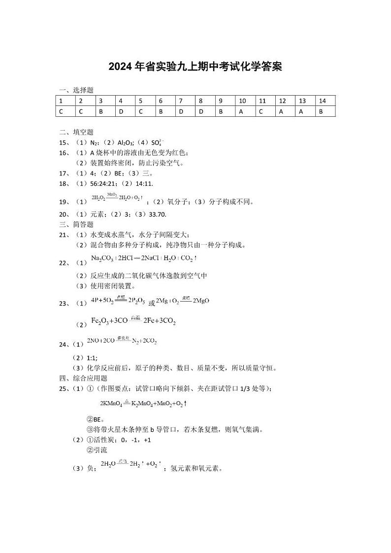河南省郑州市河南省实验中学2024-2025学年九年级上学期11月期中考试化学试题第1页