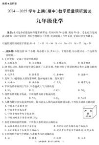 河南省鹤壁市2024--2025学年九年级上学期期中教学质量调研测试化学试题