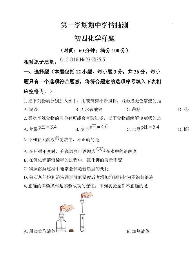 山东省泰安市新泰市2024-2025学年九年级上学期期中化学试题01
