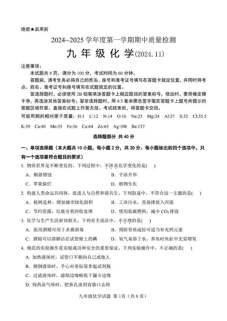 山东省济南市南山区2024-2025学年九年级上学期期中考试化学试题01