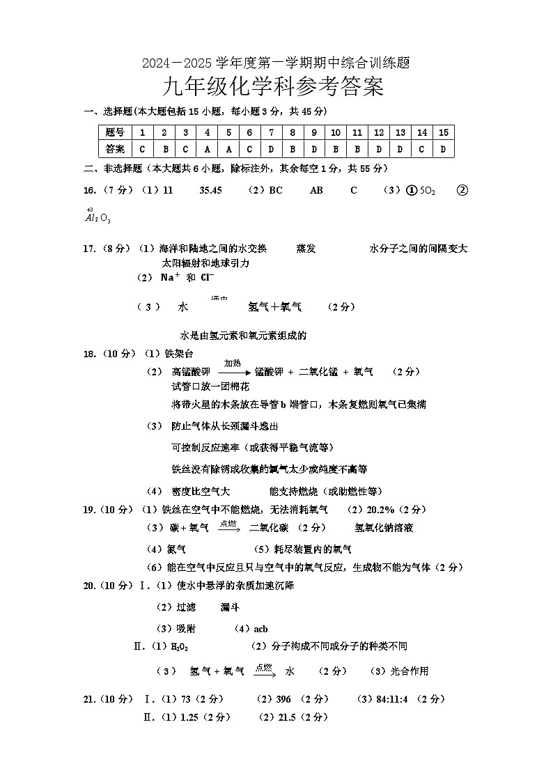 广东省揭阳市普宁市2024-2025学年九年级上学期期中化学试题01