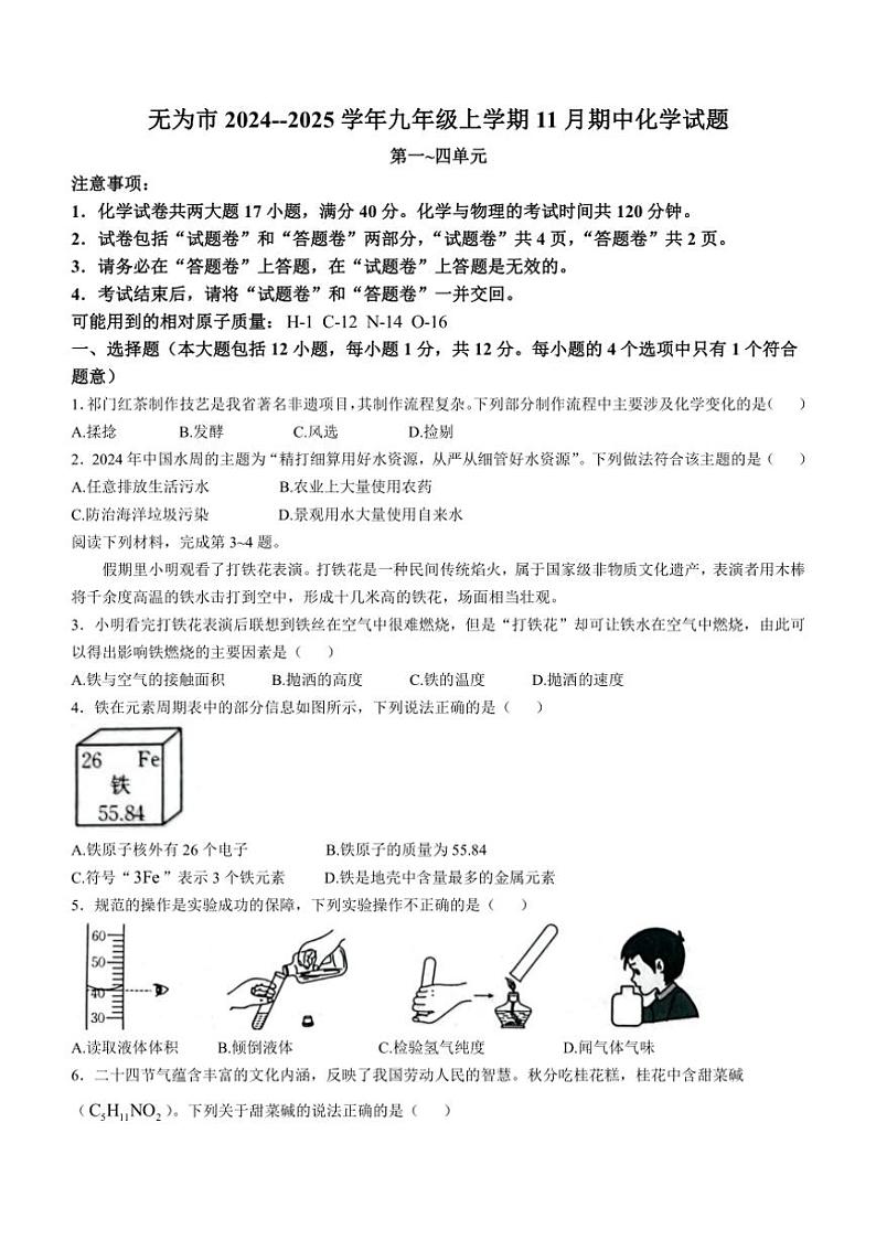 安徽省芜湖市无为市2024～～2025学年九年级上学期11月期中化学试题(含答案)第1页