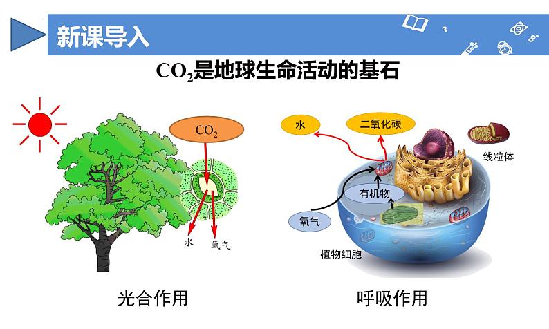 课题2 碳的氧化物（第1课时）（教学课件）--2024-2025学年度九年级化学上册同步高效课堂（人教版2024）05