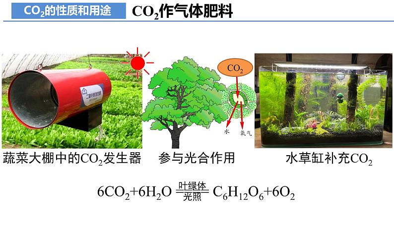 课题2 碳的氧化物（第1课时）（教学课件）--2024-2025学年度九年级化学上册同步高效课堂（人教版2024）08