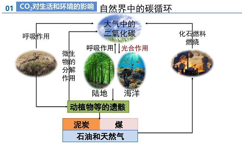 课题2 碳的氧化物（第2课时）（教学课件）--2024-2025学年度九年级化学上册同步高效课堂（人教版2024）07